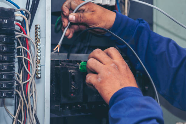 Best Affordable Electrician  in Tidmore Bend, AL